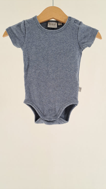 WHEAT • BODY • STØVET BLÅ RIB • STR. 62