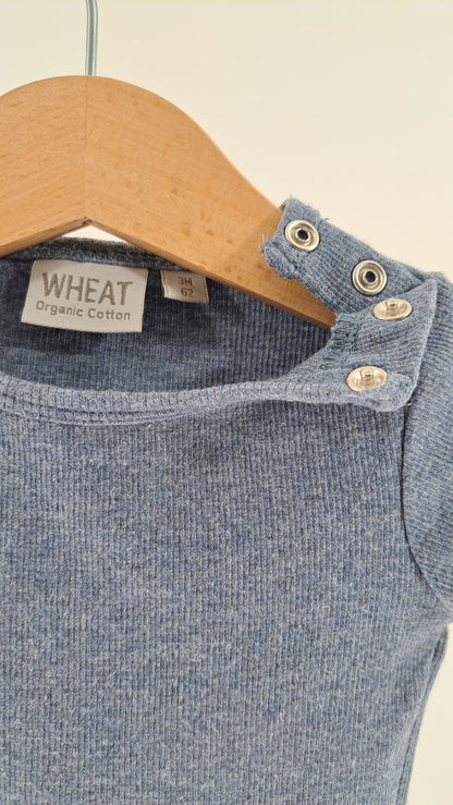 WHEAT • BODY • STØVET BLÅ RIB • STR. 62